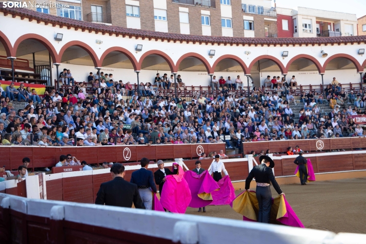 Novillada en clase práctica