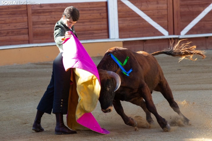 Novillada en clase práctica