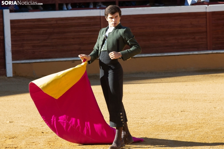 Novillada en clase práctica