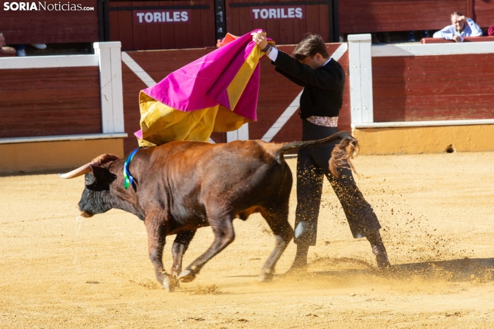 Novillada en clase práctica