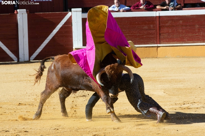 Novillada en clase práctica