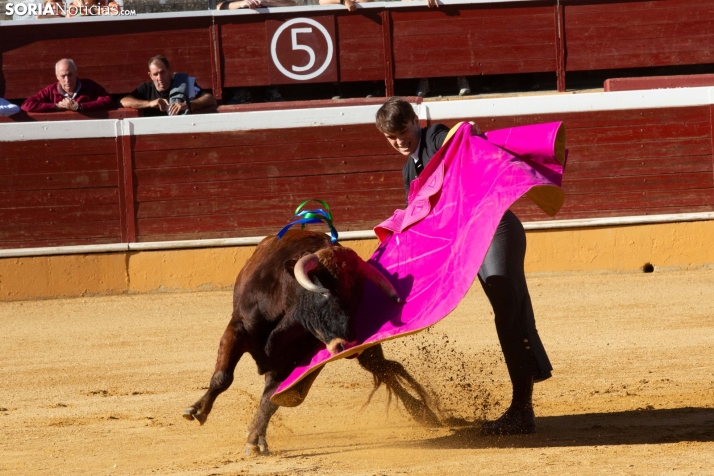 Novillada en clase práctica