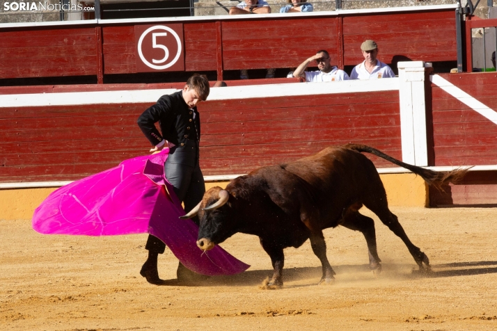 Novillada en clase práctica