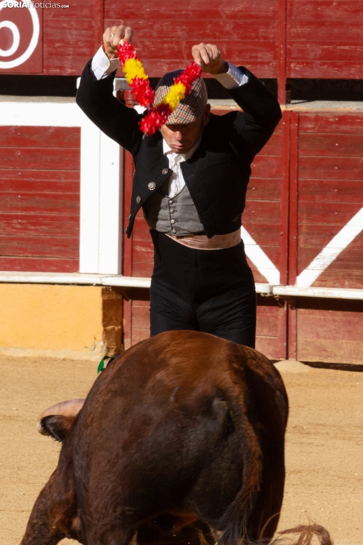 Novillada en clase práctica