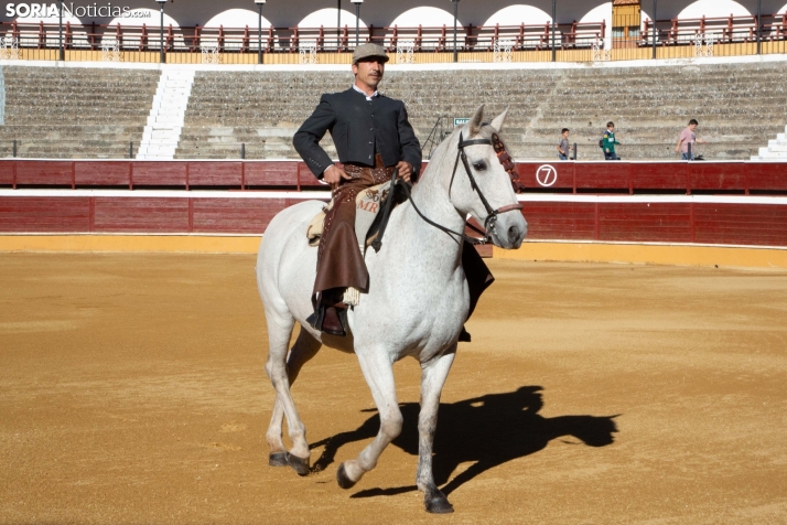 Novillada en clase práctica