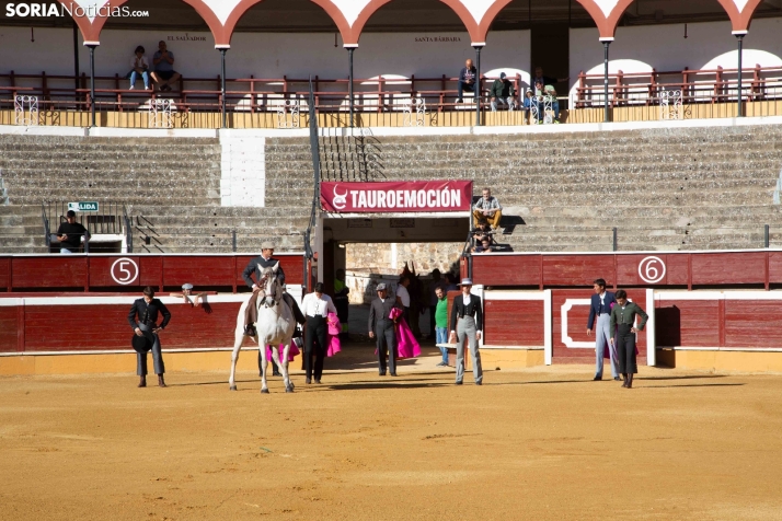 Novillada en clase práctica