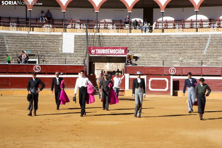 Novillada en clase práctica