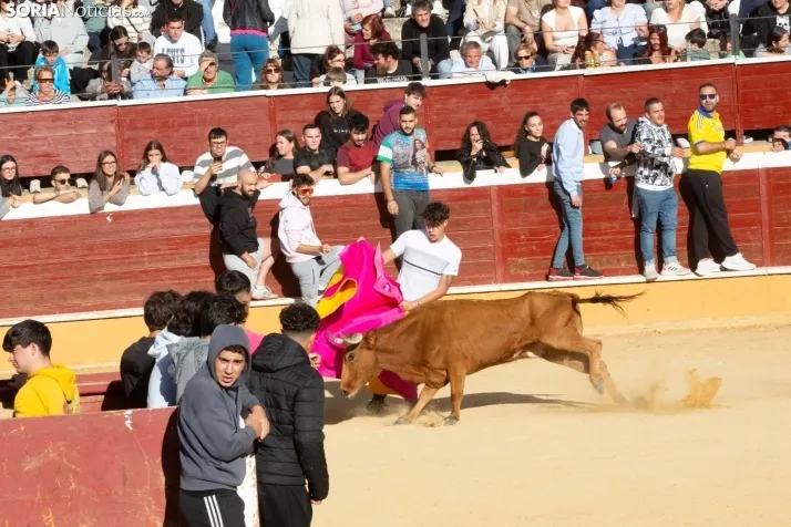 Vaquillas San Saturio