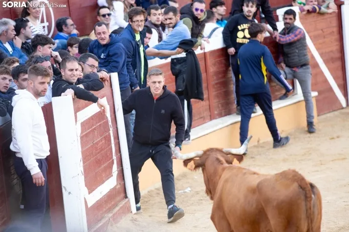 Vaquillas San Saturio