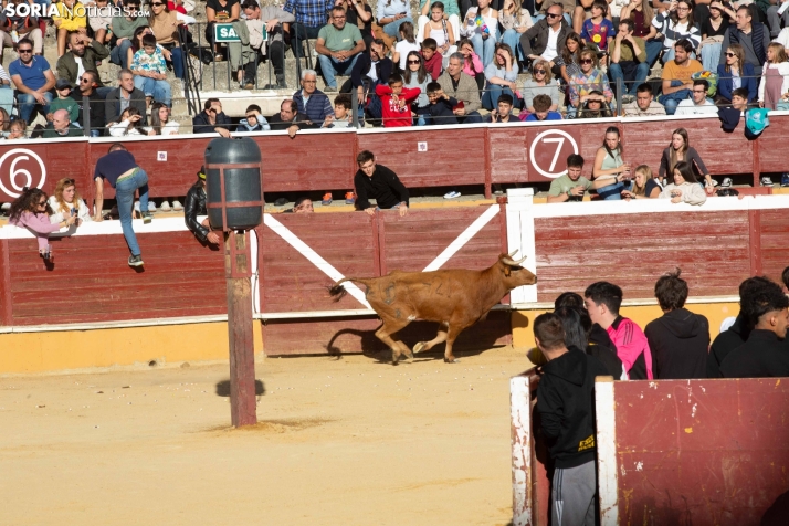 Vaquillas San Saturio