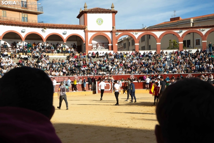 Vaquillas San Saturio