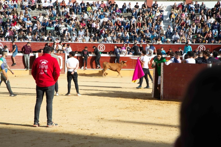Vaquillas San Saturio