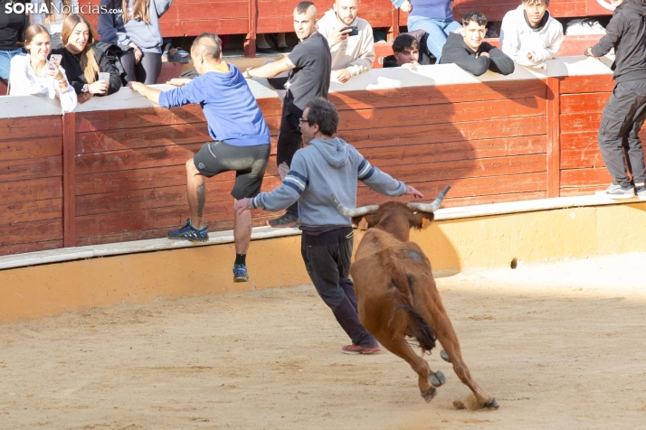 Vaquillas San Saturio