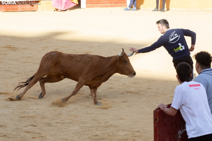 Vaquillas San Saturio