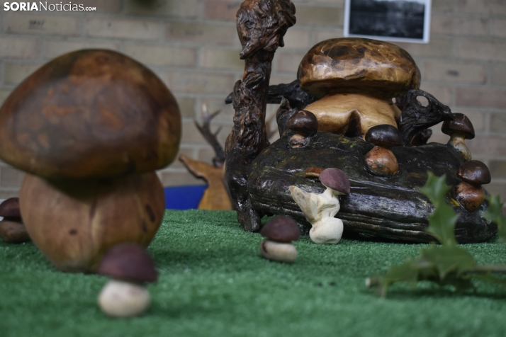 La campaña micológica no termina de arrancar y los expertos advierten: No he visto un otoño igual