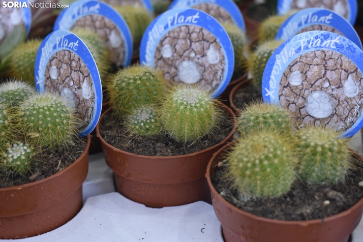 Mercado Medieval 2025. 
