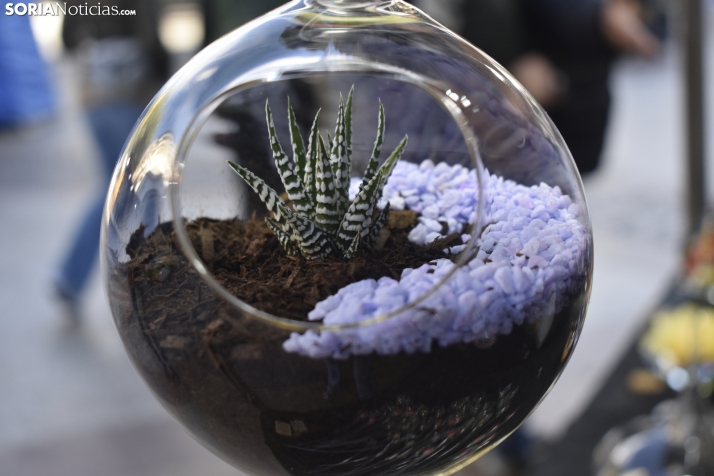 Mercado Medieval 2025. 