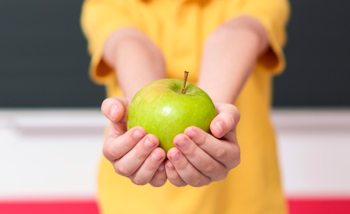 Almazán y El Burgo, protagonistas en los programas escolares de nutrición de la Junta
