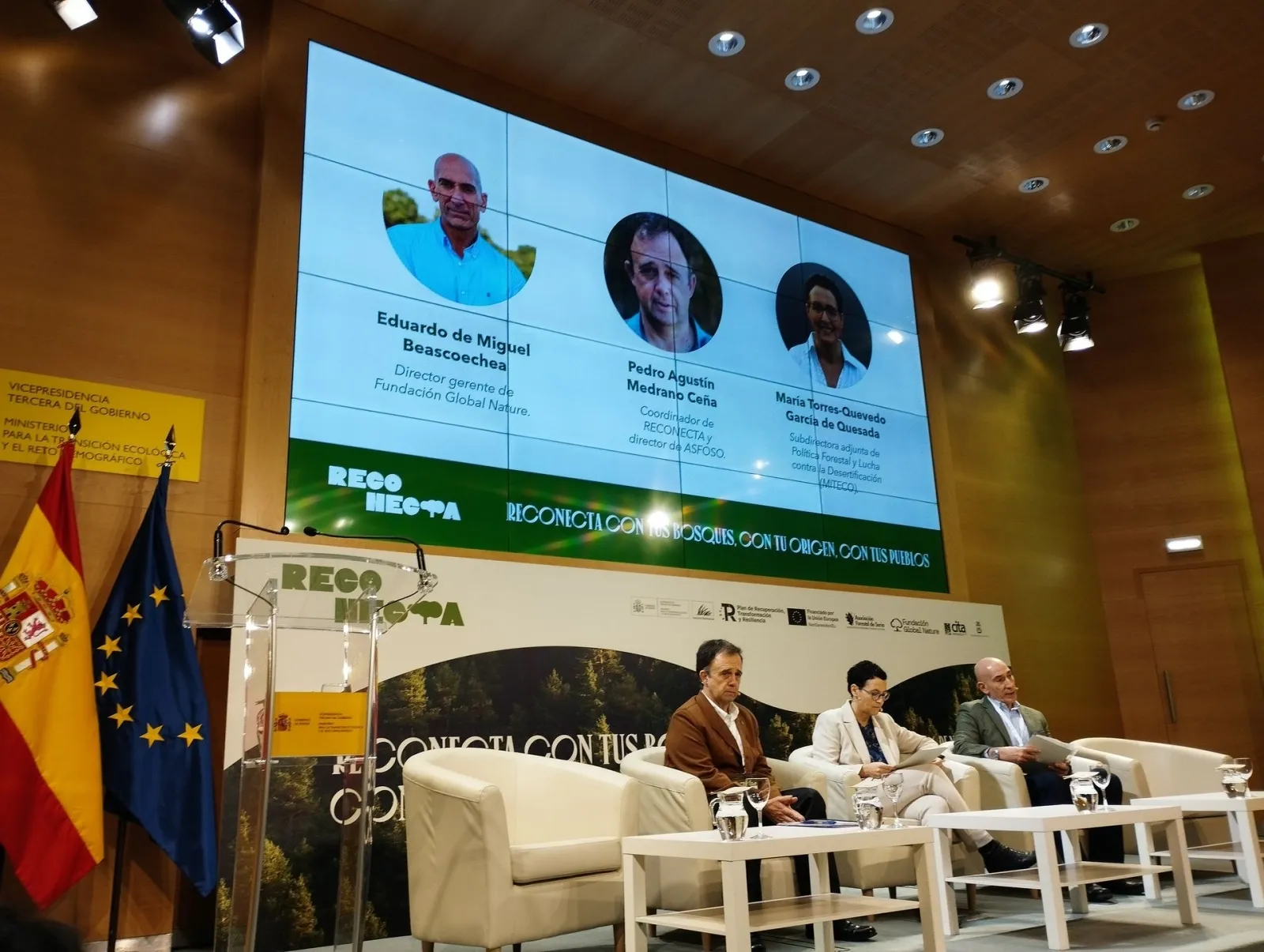 Foto 2 - El abandono del 72% del monte privado, a debate en un encuentro liderado por ASFOSO