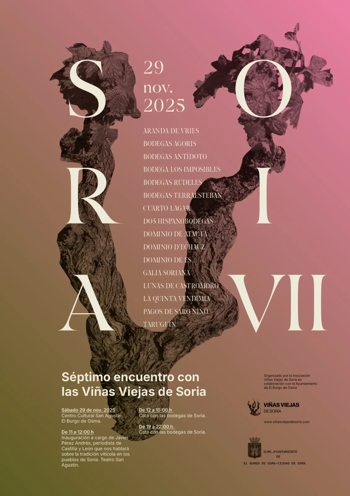 Foto 2 - El Burgo de Osma se estrena como sede del s&eacute;ptimo encuentro de Vi&ntilde;as Viejas con 16 bodegas