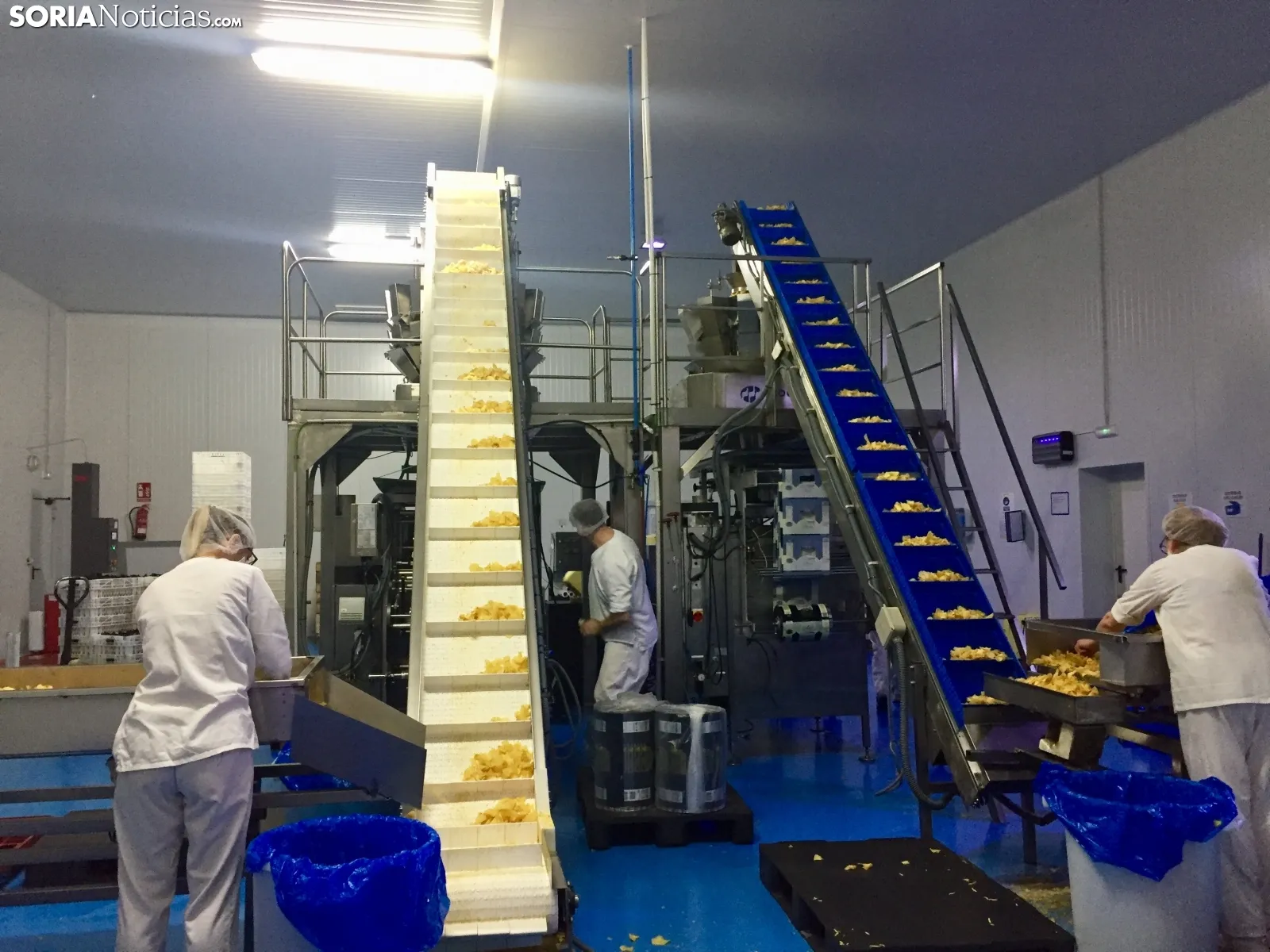 Interior de la empresa Arte Fritas.