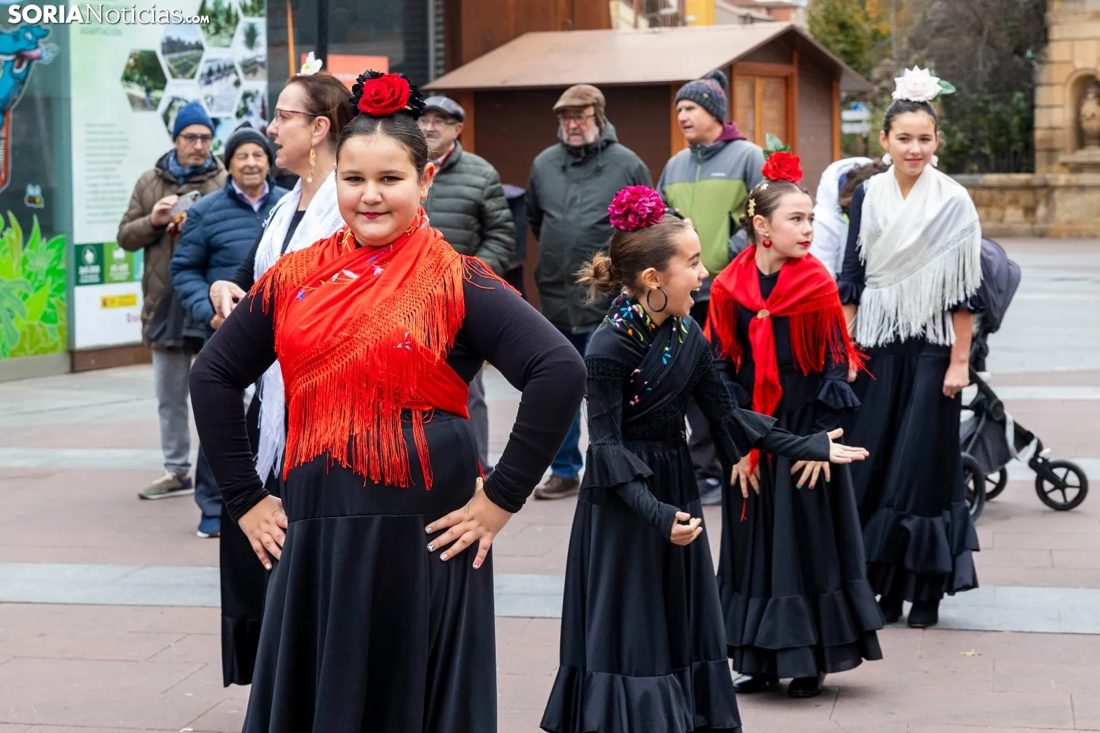 Galería y crónica | El flamenco soriano calienta Mariano Granados./ Viksar Fotografía