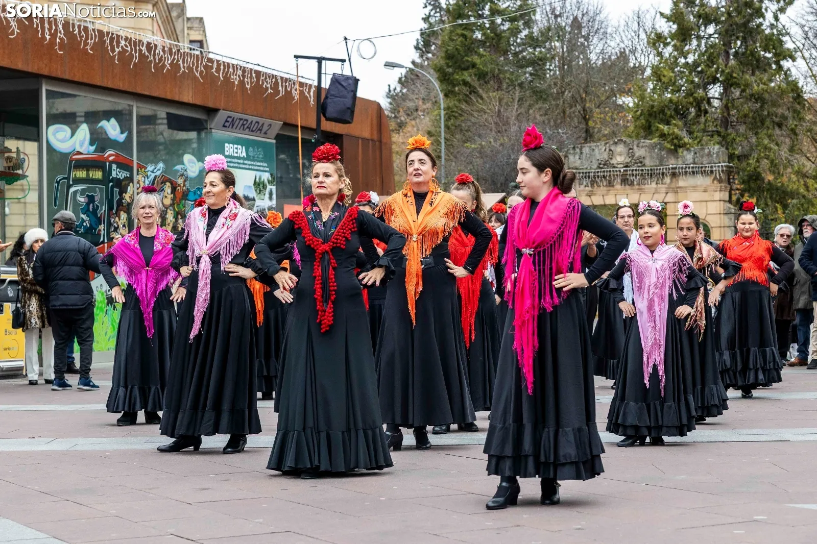 Galería y crónica | El flamenco soriano calienta Mariano Granados./ Viksar Fotografía