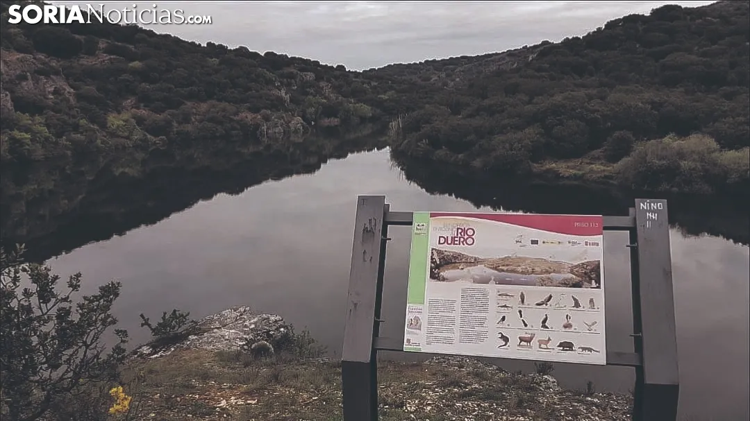 Foto 8 - Ruta: Los m&aacute;rgenes del Duero y del Golmayo y la cueva de Zampo&ntilde;a