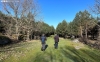 Dos senderistas caminan por un paraje de El Royo. /Pedro Lafuente