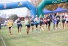 Foto 1 - El Cross de Soria regresa a Valonsadero: 1.100 participantes, atletas de primer nivel y varias novedades