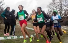 Foto 3 - Kipchumba, tras una ca&iacute;da, y Amebaw se imponen en el XXXI Cross Internacional de Soria