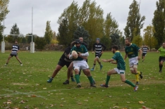 Foto 6 - El Ingenieros de Soria cae 43-26 ante El Salvador en un exigente amistoso de rugby