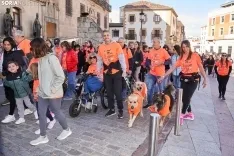  El Camino contra el Cáncer