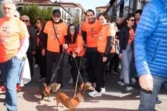  El Camino contra el Cáncer