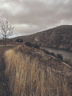 Foto 4 - Ruta: Los márgenes del Duero y del Golmayo y la cueva de Zampoña