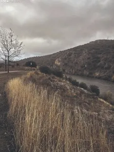 Foto 4 - Ruta: Los m&aacute;rgenes del Duero y del Golmayo y la cueva de Zampo&ntilde;a