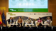 Foto 6 - El abandono del 72% del monte privado, a debate en un encuentro liderado por ASFOSO