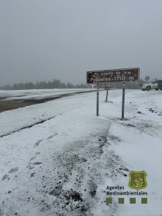 Foto 3 - &iexcl;Llega la nieve a Soria! Primera nevada del a&ntilde;o en el puerto de Piqueras