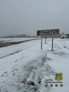 Foto 3 - &iexcl;Llega la nieve a Soria! Primera nevada del a&ntilde;o en el puerto de Piqueras