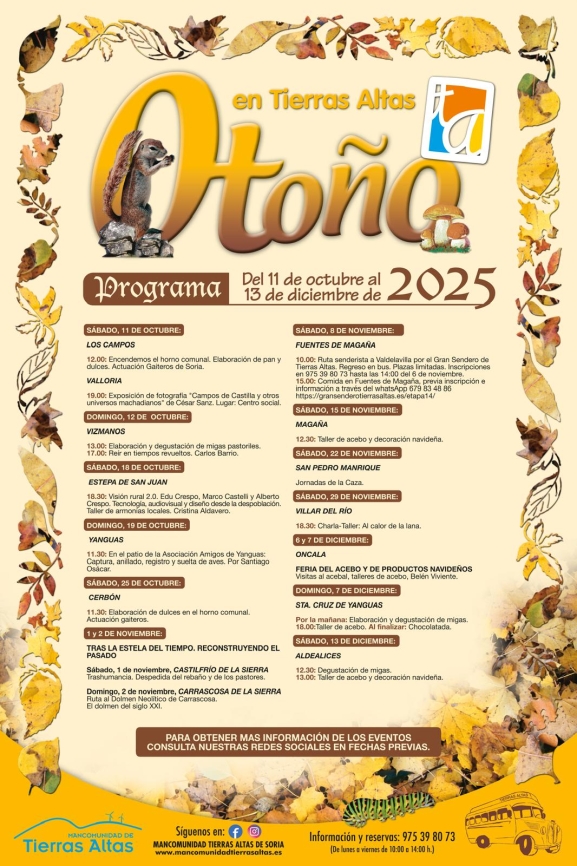 Otoño en Tierras Altas: caza y pelota mano en noviembre