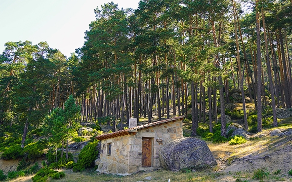 La Justicia respalda derogar el reglamento forestal de Covaleda