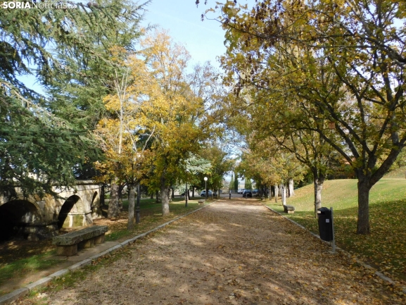 Fotos: Los colores otoñales invaden los márgenes del Duero y el Castillo