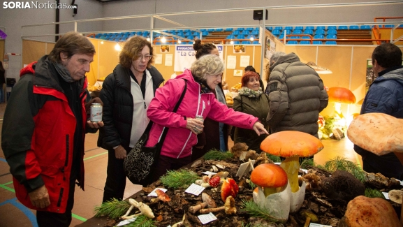 En fotos: días de setas, gastronomía y buen ambiente en San Leonardo 