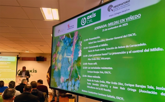 ITACyL forma a cien profesionales sobre mildiu en viñedo