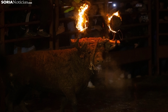 Medinaceli vuelve a ser feliz con el Toro Jubilo