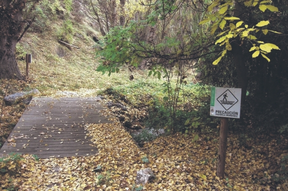 Rutas: Cinco rincones de Soria que te enamorarán en este fin de semana lluvioso