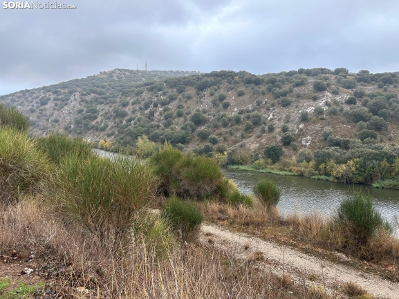 Ruta: Los márgenes del Duero y del Golmayo y la cueva de Zampoña