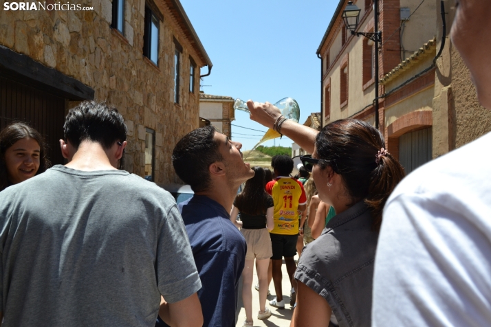 Gallofa de Morón de Almazán