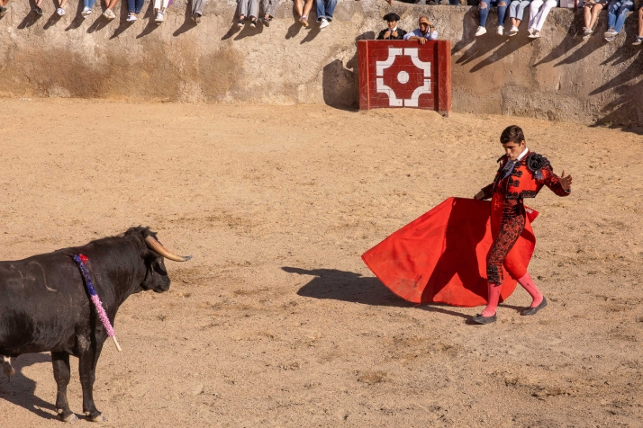 La novillada sin picadores de Deza en imágenes. Viksar Fotografía.