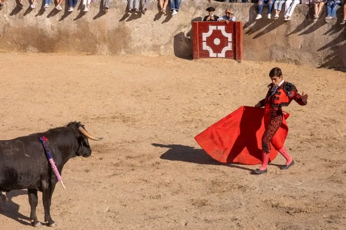 La novillada sin picadores de Deza en imágenes. Viksar Fotografía.